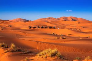 Camel Trekking Merzouga Desert