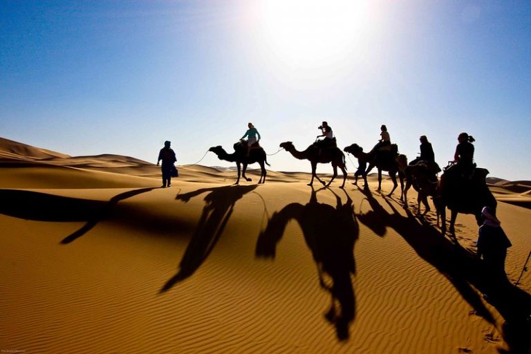 Camel Trekking Merzouga Desert