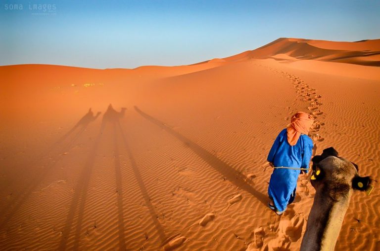 Camel Trekking Merzouga Desert